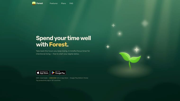 Forest