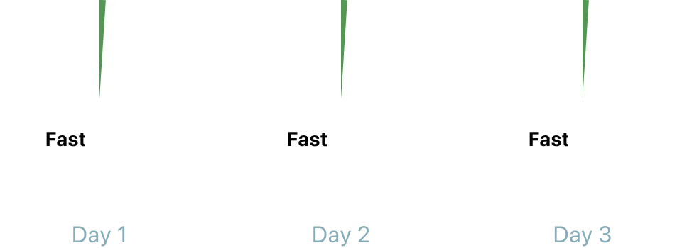 Illustration of one meal a day fasting